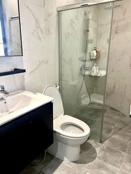 The Balmoral (D10), Condominium #496613891